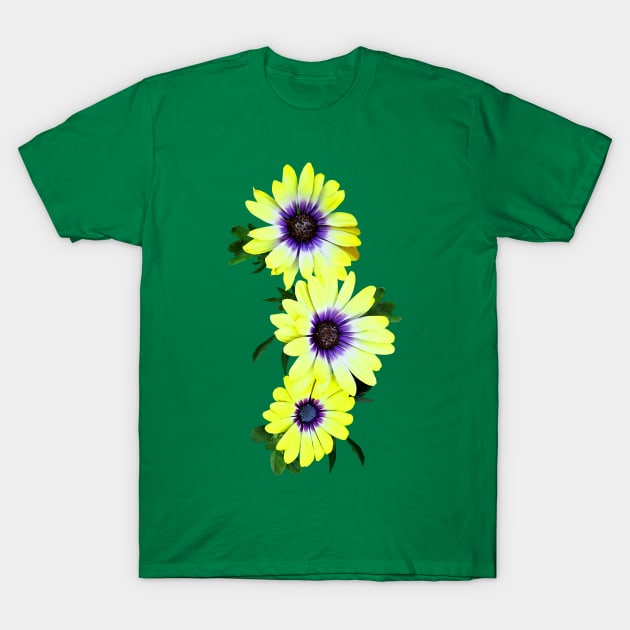 Daisies - African Daisies Lemon Symphony T-Shirt by SusanSavad